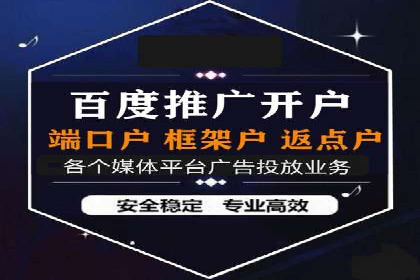 百度网络推广实战技巧：案例解析，让广告投放更精准